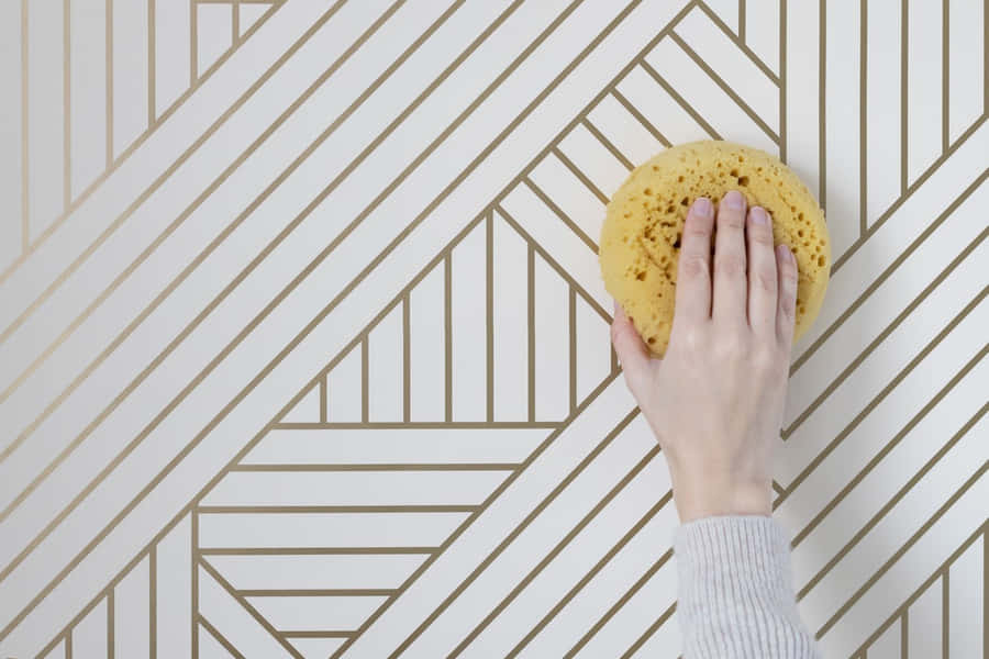 Cleaning Geometric Background Sponge Wallpaper