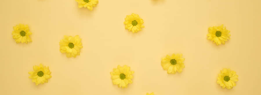 Close Up Of A White Flower In Full Bloom Wallpaper