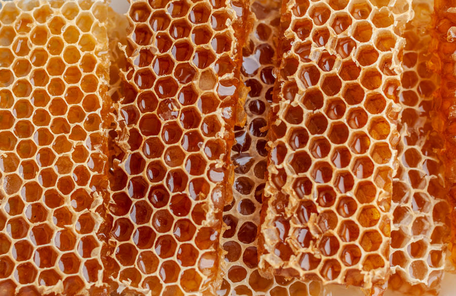 Close-up Of Honey Filled Honeycomb Wallpaper