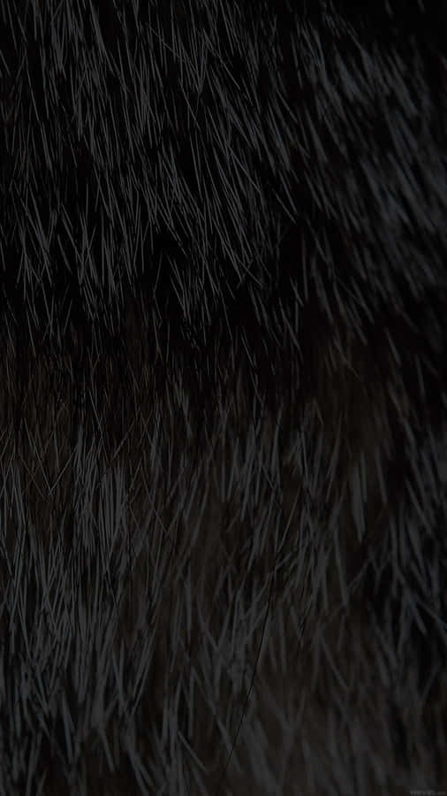 Closeup Black Faux Fur Texture Wallpaper