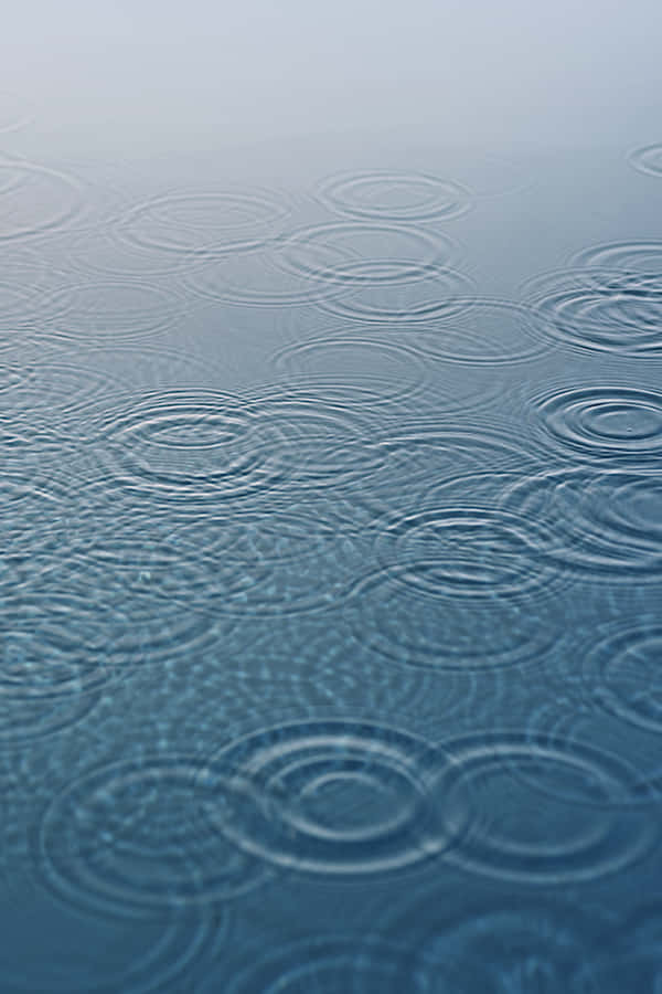 Closeup Of The Iconic Apple Logo On An Iphone With Ios 4 Installed Wallpaper