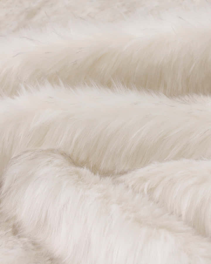 Closeup Textureof White Faux Fur Wallpaper