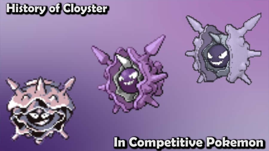 Cloyster History Wallpaper