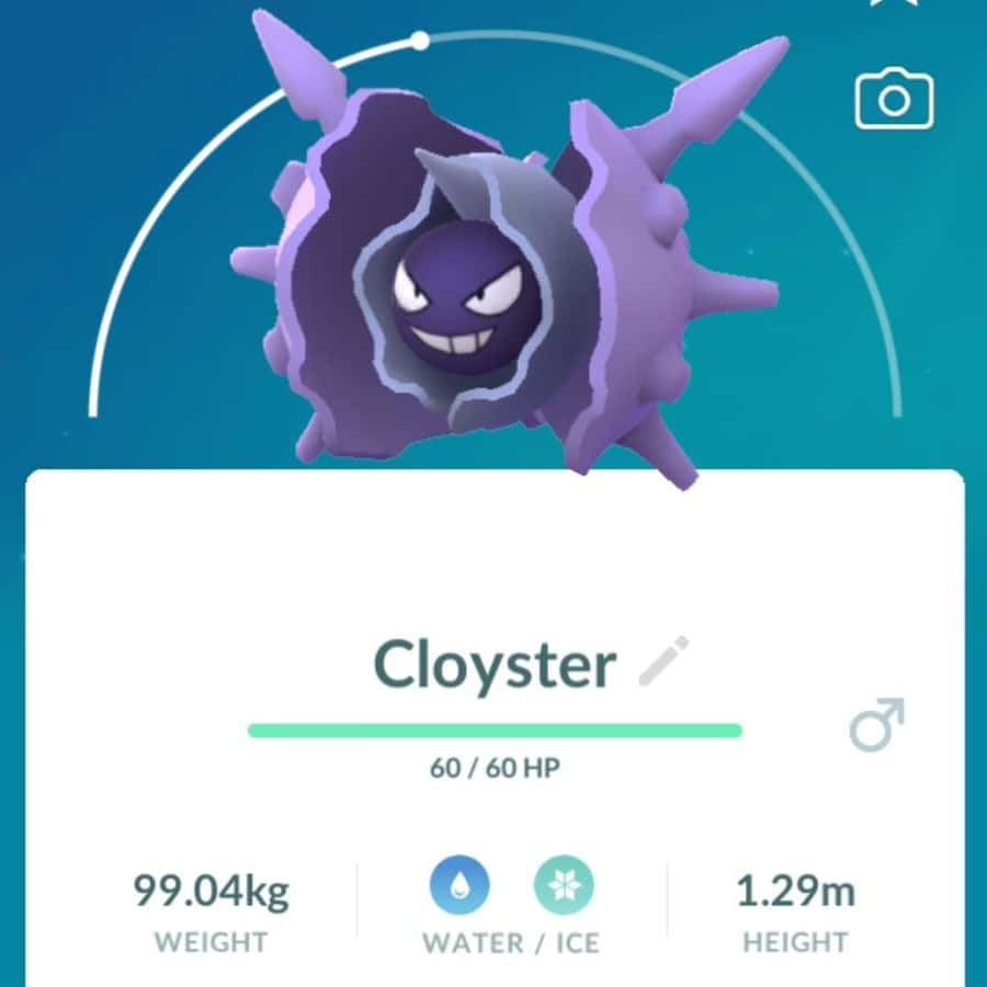 Cloyster Pokemon Go Info Wallpaper