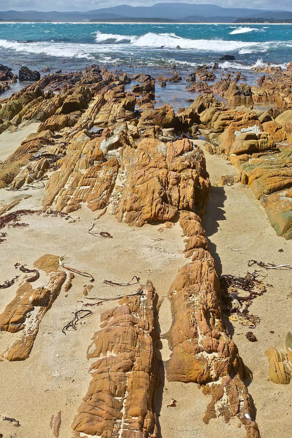 Coastal Rock Formations Geomorphology Wallpaper