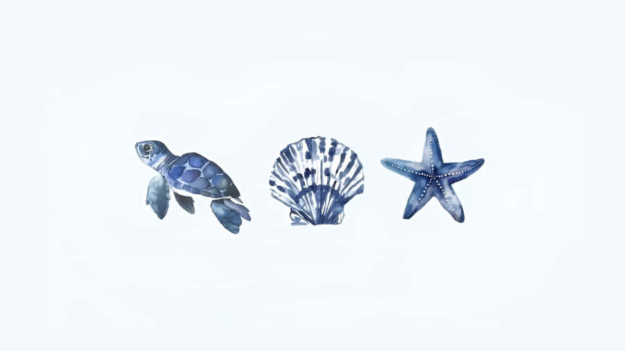 Coastal Sea Life Icons Wallpaper