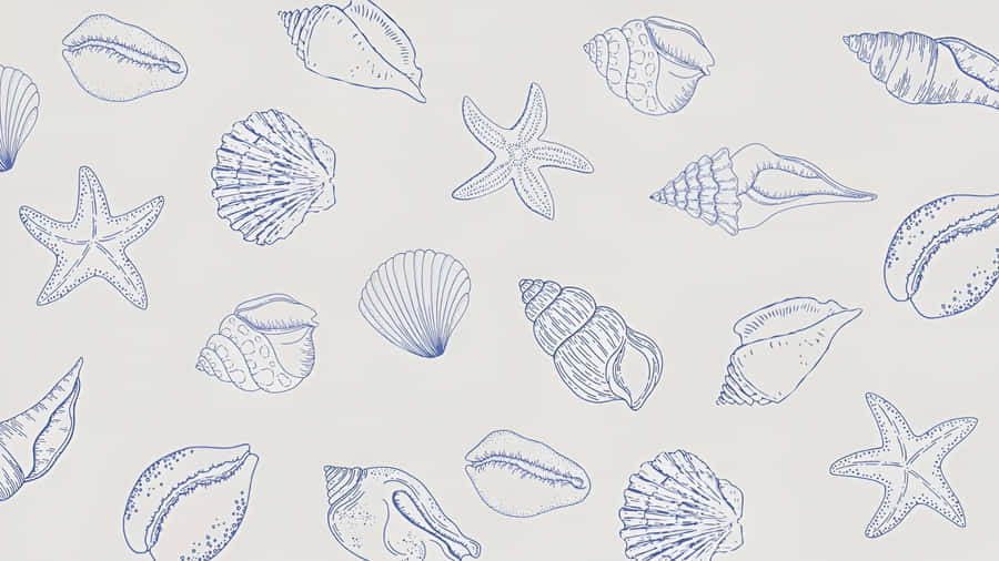 Coastal Seashell And Starfish Pattern Wallpaper