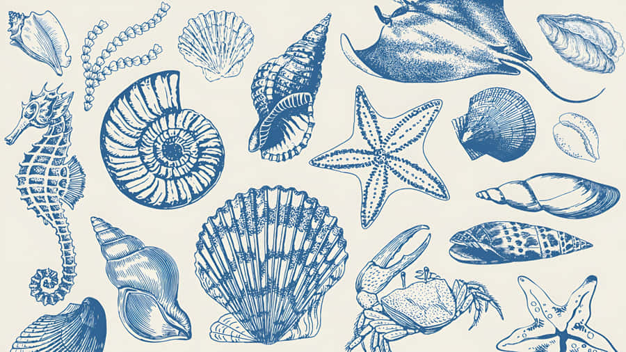 Coastal Seashells And Marine Life Wallpaper