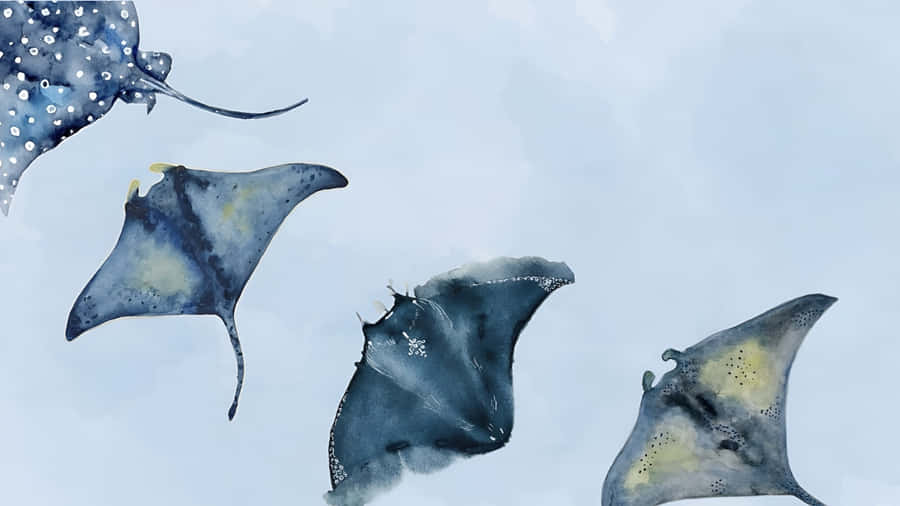 Coastal Stingrays Swimming Together Wallpaper