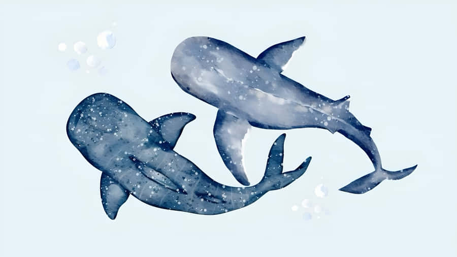 Coastal Whale Illustration Wallpaper