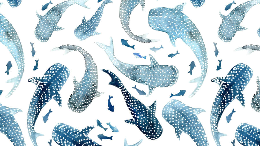Coastal Whale Shark Pattern Wallpaper
