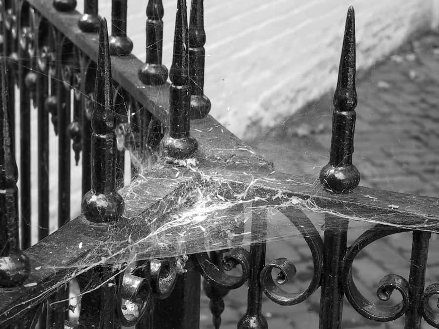 Cobweb-filled Corner Wallpaper