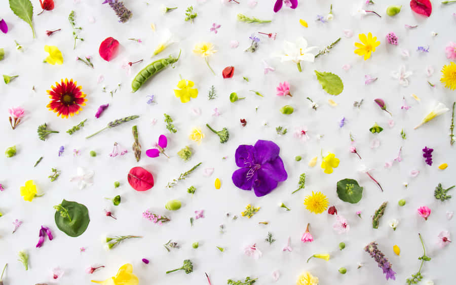 Collection Of Small Chic Flowers And Plants Wallpaper