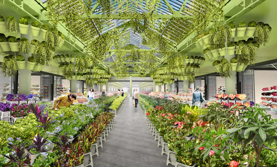 Colorful Flower Stalls At The Market Wallpaper