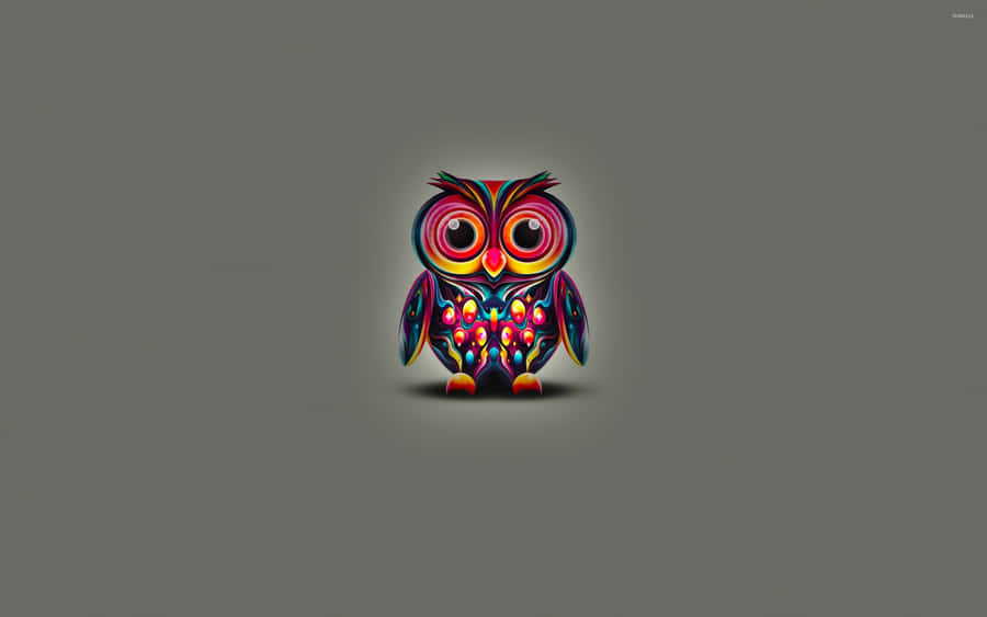 Colorful Owl Cute Girly Ipad Wallpaper