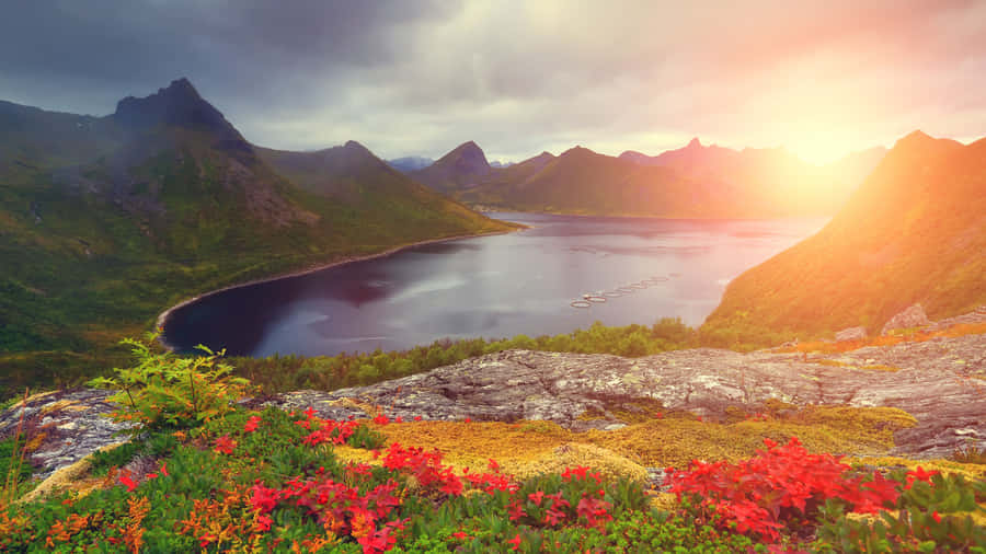 Colorful River View At Sunset Wallpaper