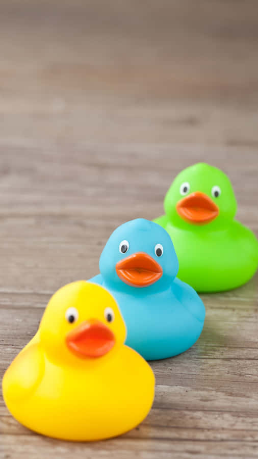 Colorful Rubber Ducksina Row Wallpaper
