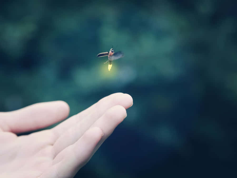 Commanding View Of A Colorful Sunset Wallpaper