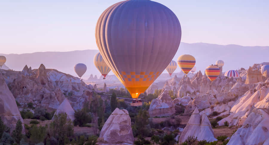 Company Office With Focused Employee At Computer Wallpaper