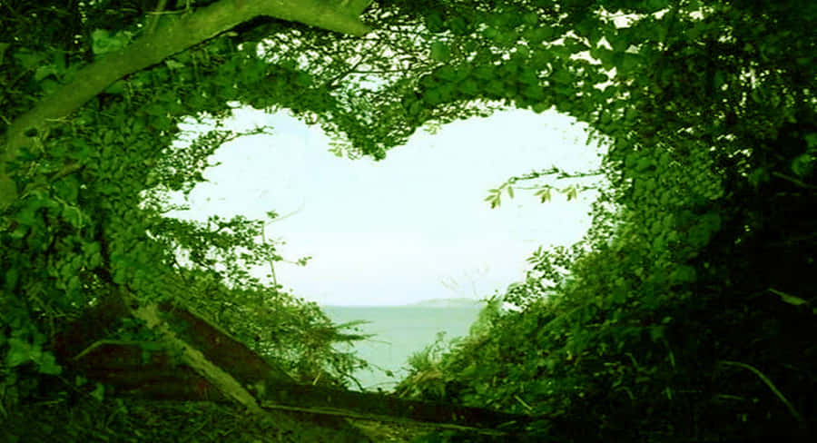 Complimentary Heart Wallpaper