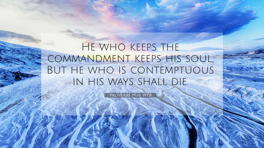 Contemptuous Hd Proverbs Wallpaper