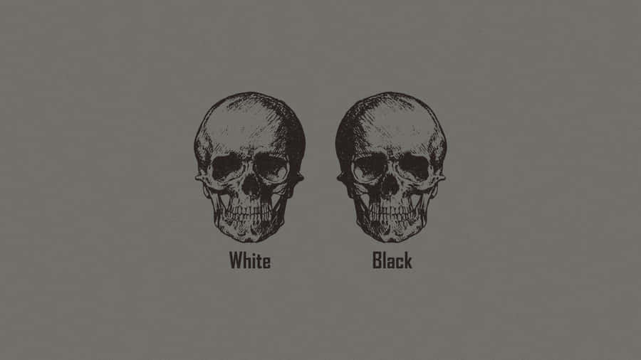 Contrasting Skulls Aesthetic Wallpaper