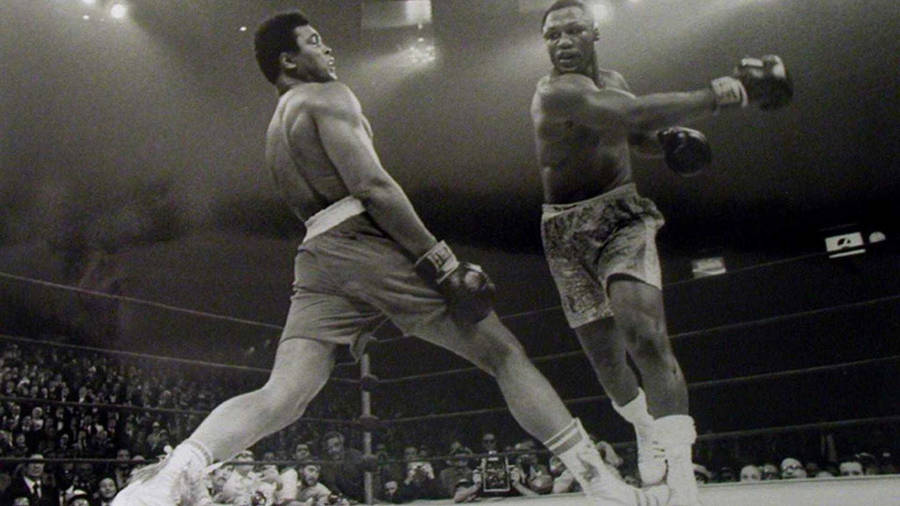 Cool Boxing Dodge Wallpaper