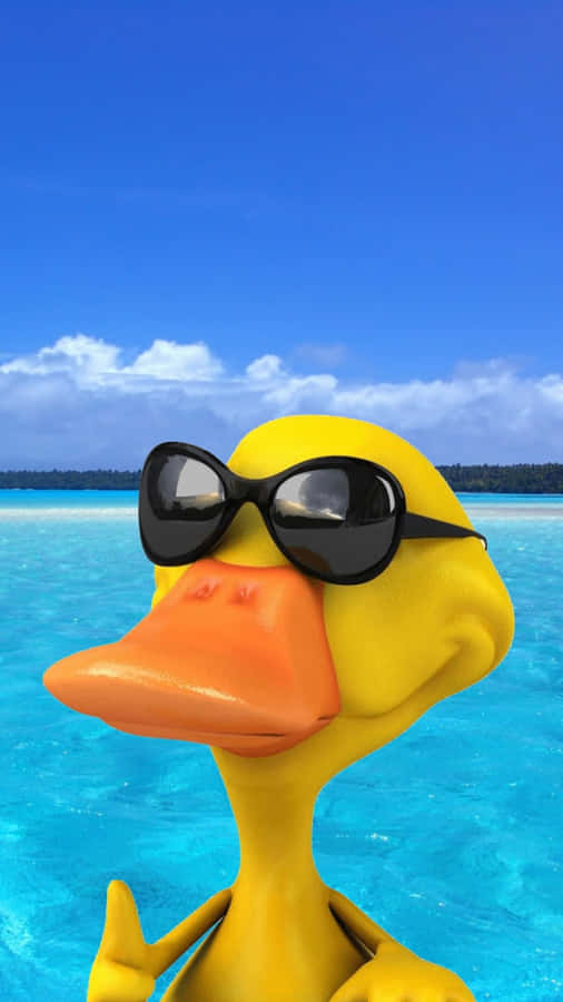 Cool Duck On Vacation Wallpaper