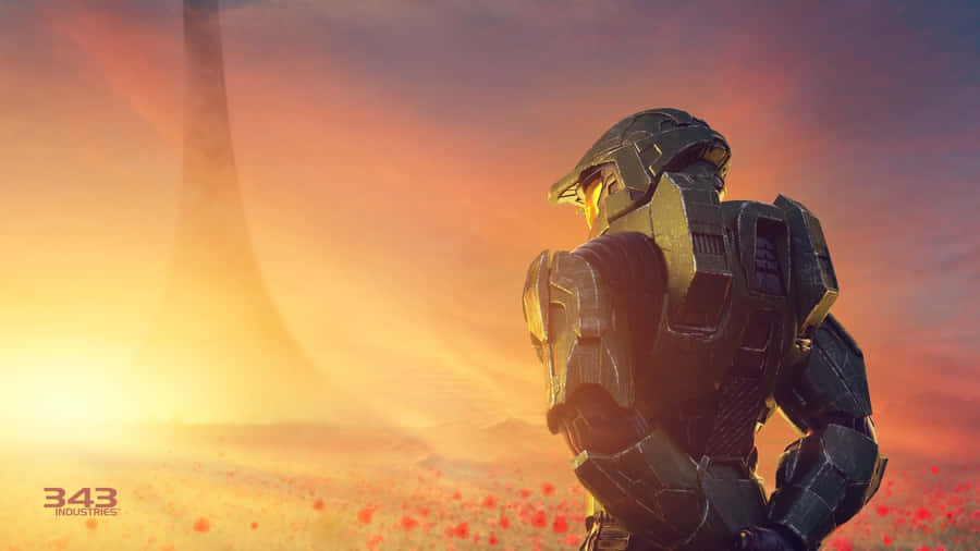 Cool Halo With Bright Sun Wallpaper