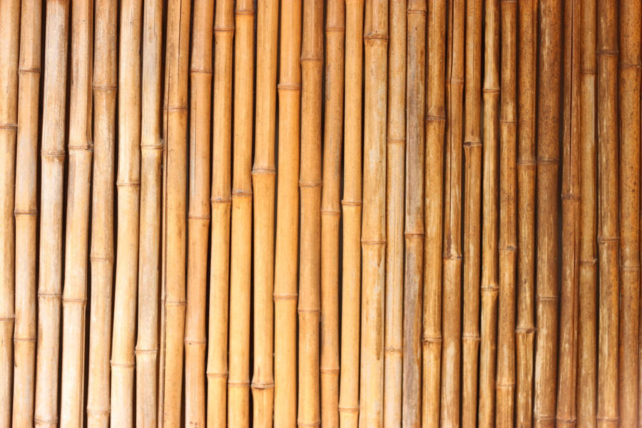 Cool Japanese Bamboo Wallpaper