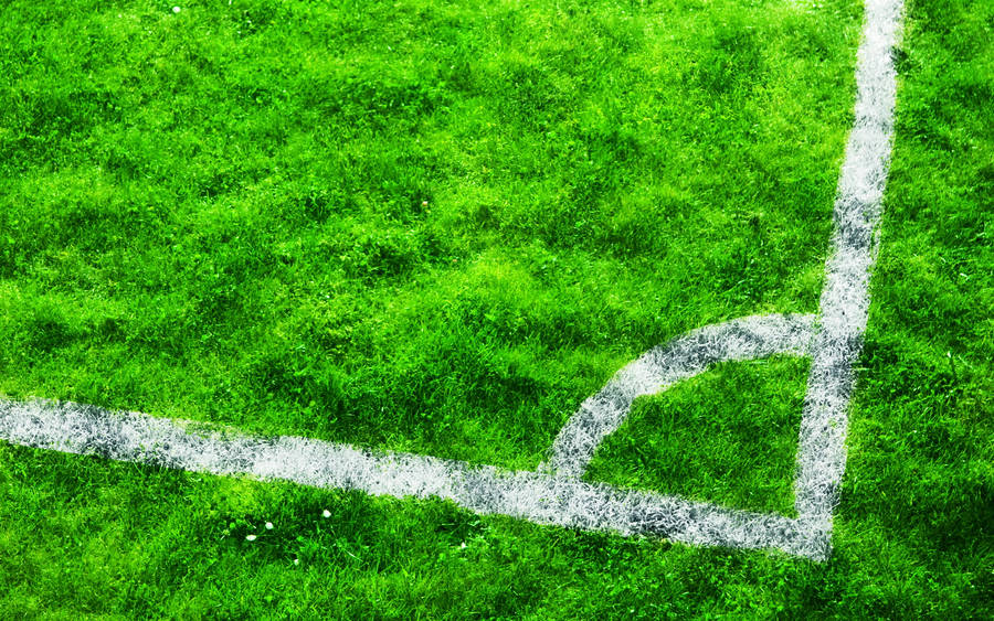 Cool Soccer Ground Background Wallpaper