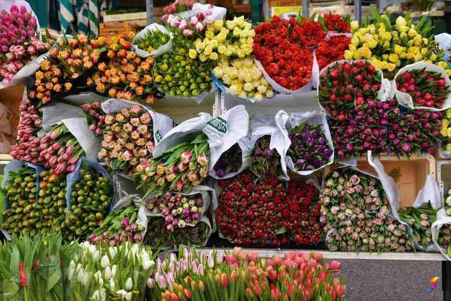 Copious Bundles Of Flowers Wallpaper