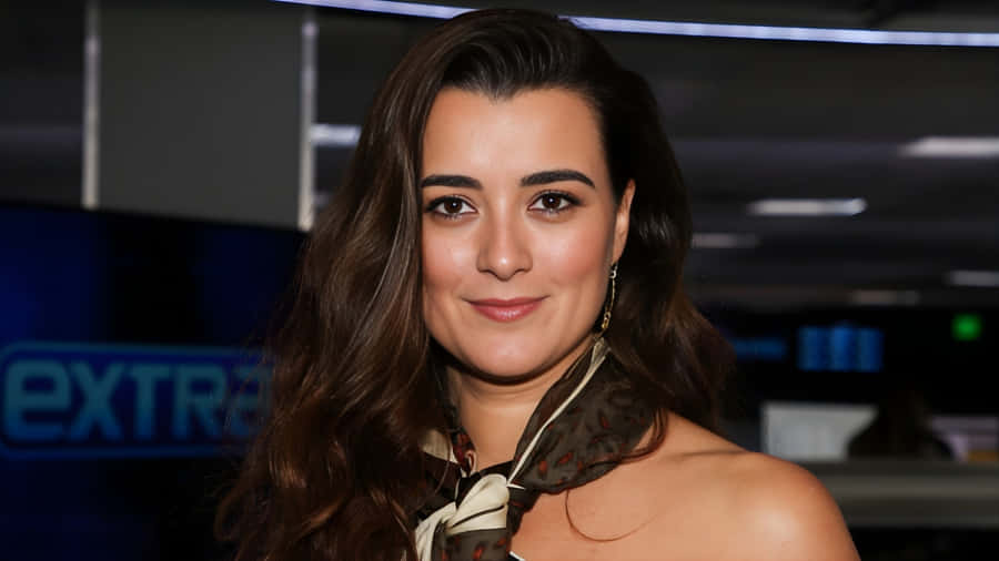 Cote De Pablo Elegant Appearance Wallpaper