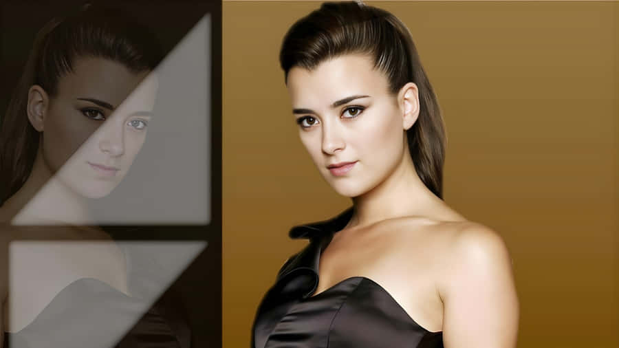 Cote De Pablo Elegant Portrait Wallpaper