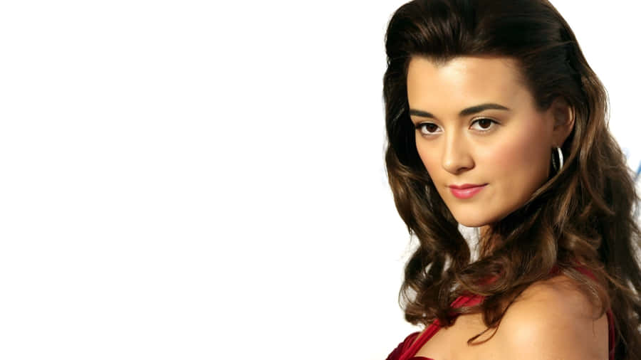Cote De Pablo Portrait Wallpaper