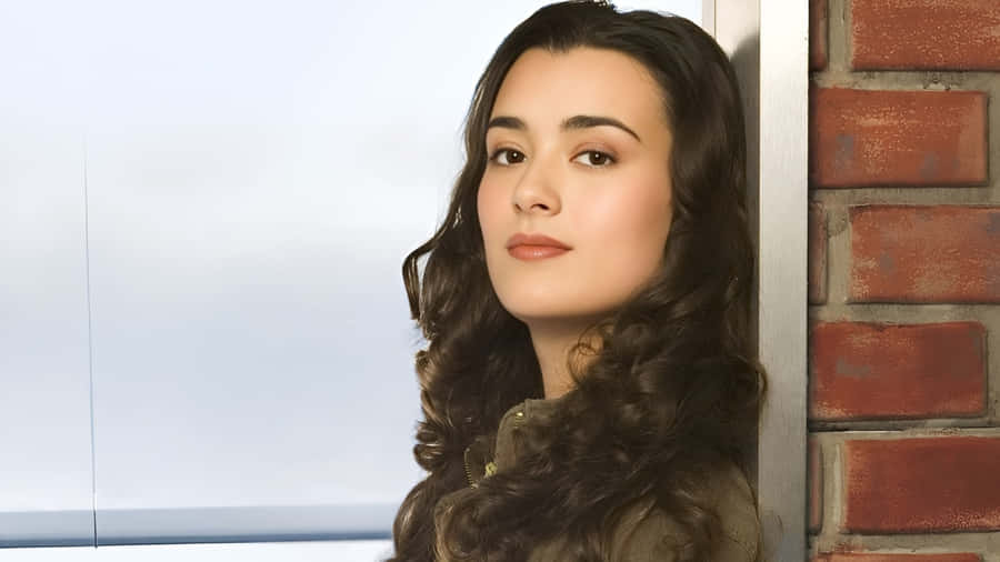Cote De Pablo Portrait Wallpaper