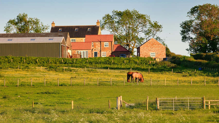 Country Farm With Grazing Horse Wallpaper