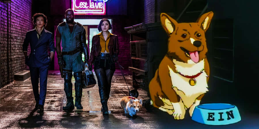 Cowboy Bebop's Ein, The Smart Corgi In Space Wallpaper