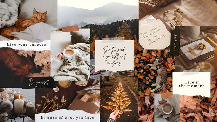 Cozy Autumn Vibes Wallpaper