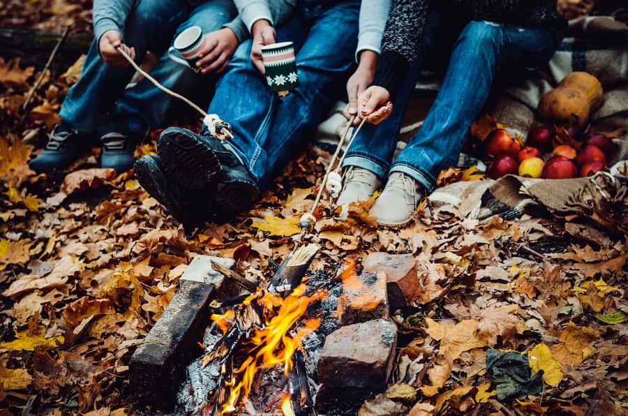 Cozy Fall Camping In The Forest Wallpaper