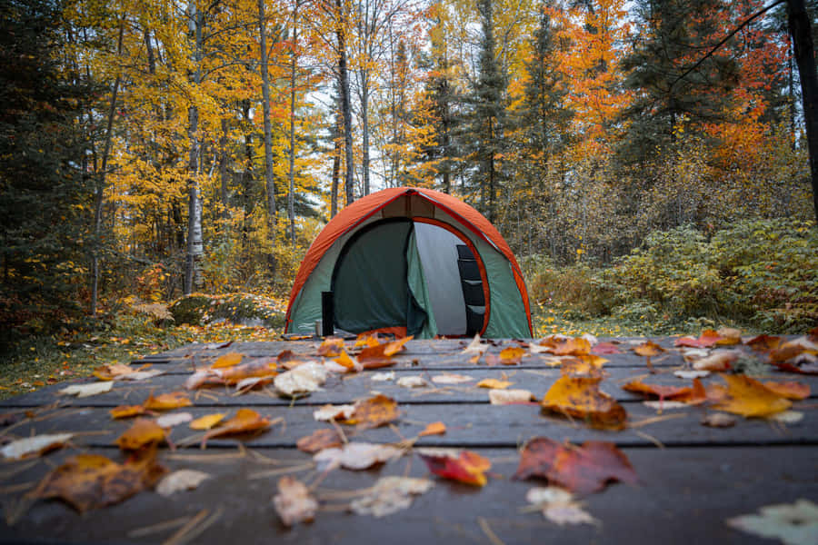 Cozy Fall Camping Scene Wallpaper