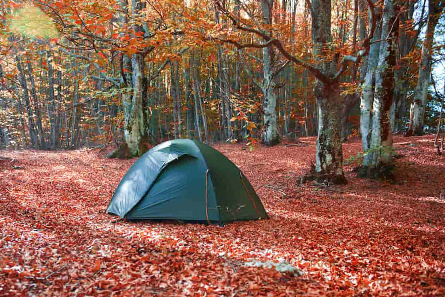Cozy Fall Camping Scene Wallpaper