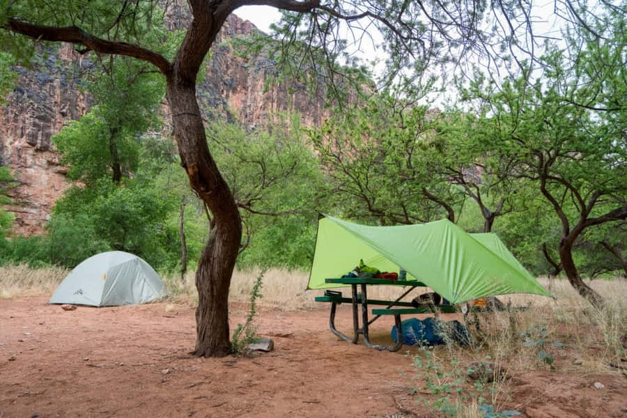 Cozy Fall Camping Trip Wallpaper