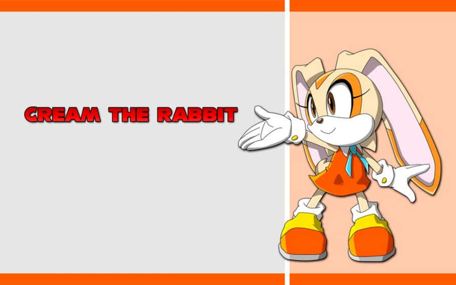 Cream The Rabbit Posing With Cheese The Chao Wallpaper