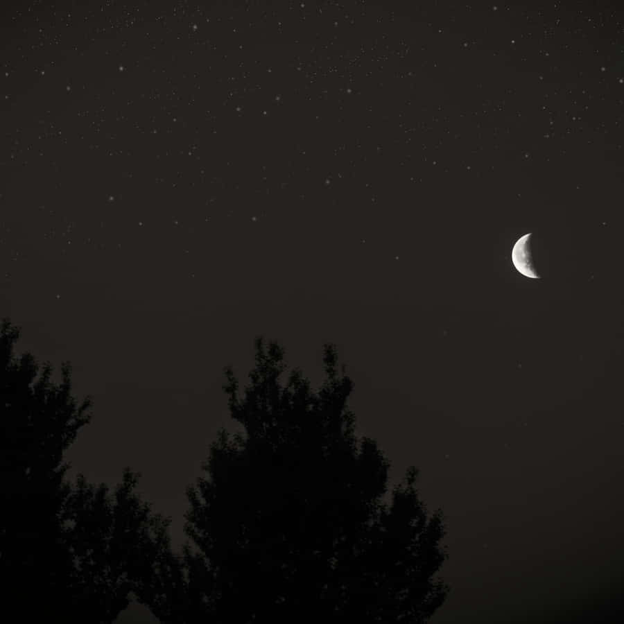 Crescent Moonand Starry Sky Wallpaper