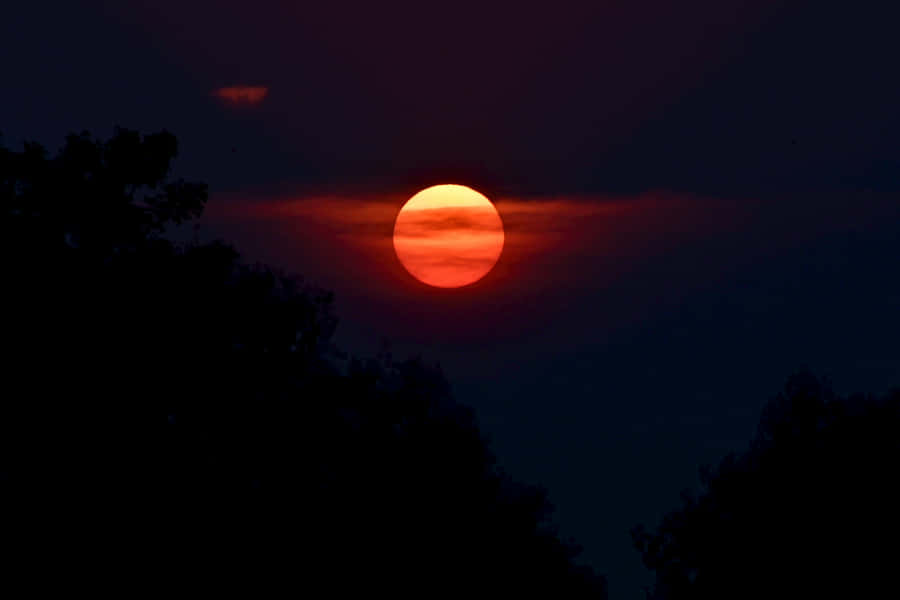 Crimson Moonrise Silhouette Wallpaper