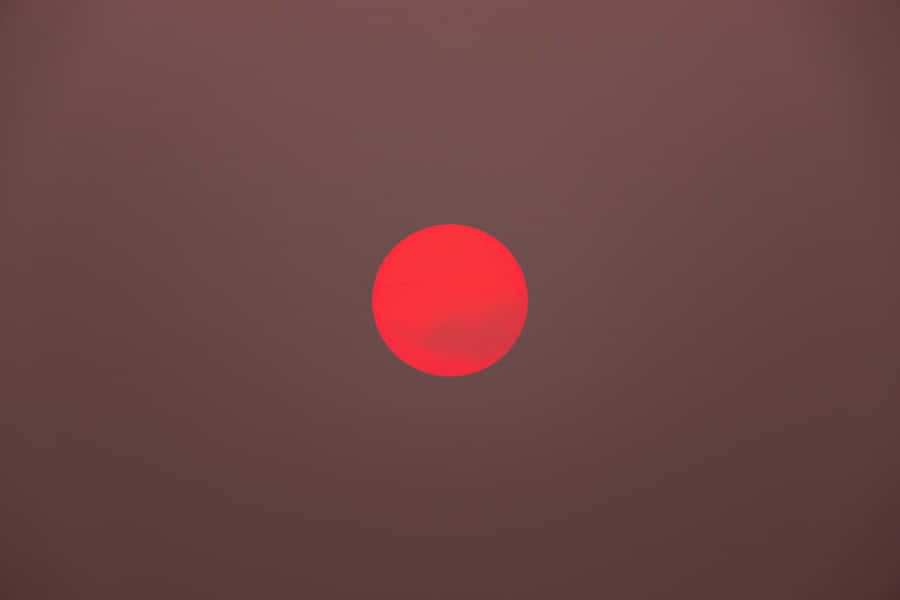Crimson Sphere Against Brown Backdrop Wallpaper