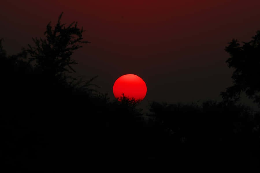 Crimson Sunset Silhouette Wallpaper