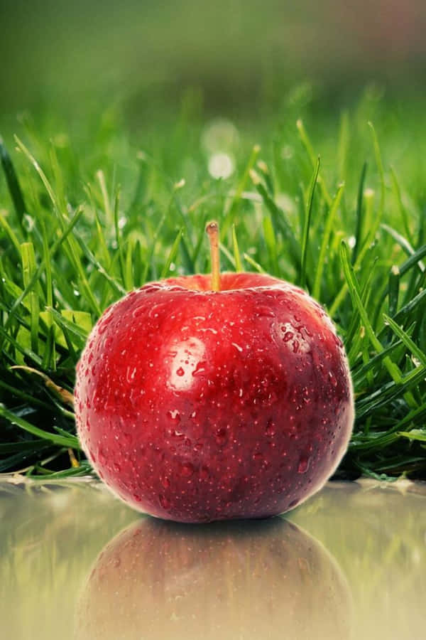 Crisp Red Apple [wallpaper] Wallpaper