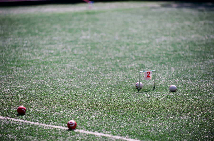 Croquet Gamein Progress Wallpaper